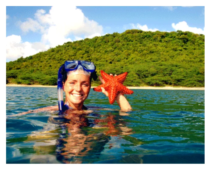 Sailing & Snorkeling Experience